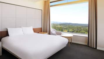 Deluxe King Room | Room amenity