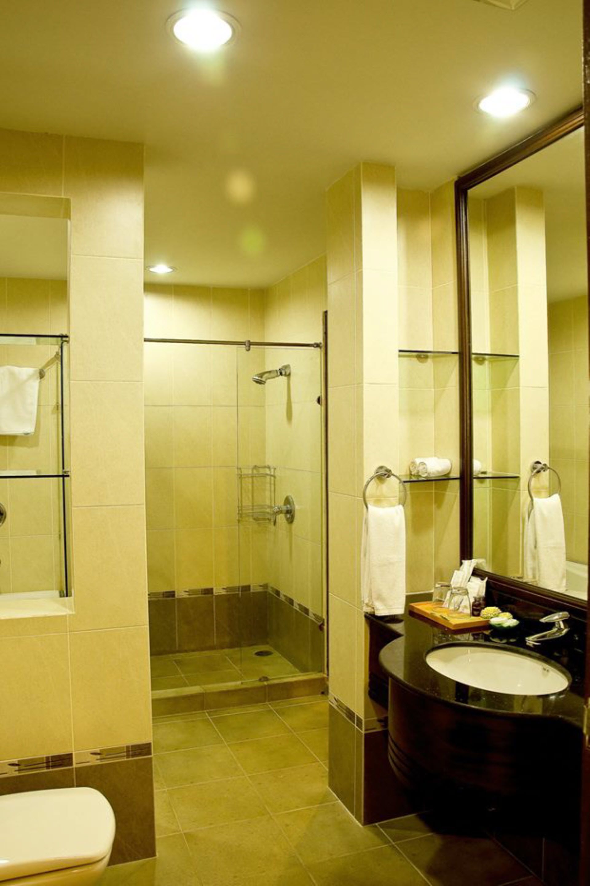 1 bedroom suite | bathroom | combined shower/bathtub, free toiletries, hair dryer, bathrobes