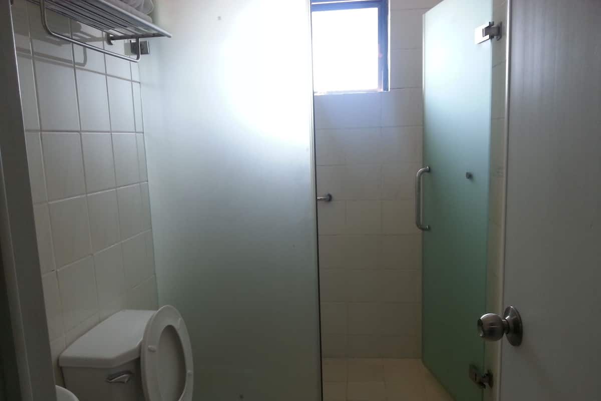 Shower, free toiletries, hair dryer, towels