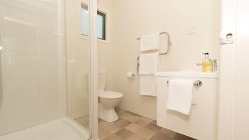 A bathroom with a glass shower enclosure, a toilet, a sink with a soap dispenser, and two towels hanging on a rack.