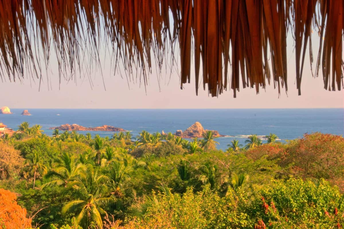 Bungalow Planta Alta | View from room