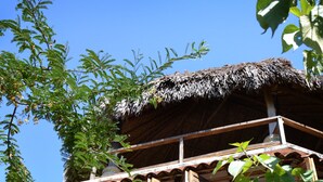 Property grounds - Villa La Luna de Miel Mazunte (Santa María Tonameca)