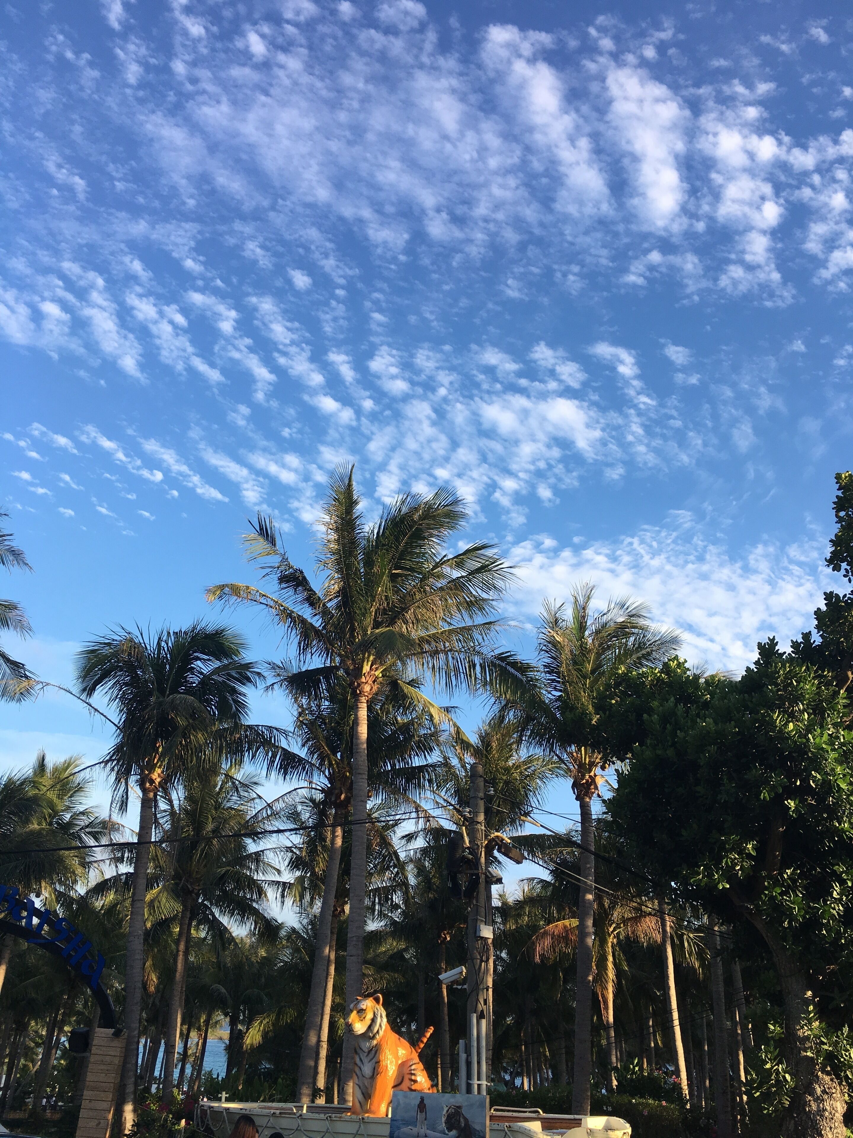 A tropical resort with palm trees and a large tiger statue.