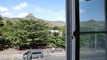 Vista a la montaña