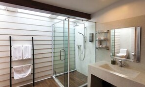 Shower, free toiletries, hair dryer, bathrobes