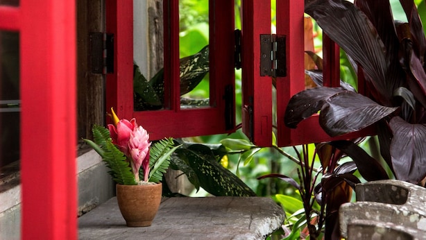 A red door with glass panels, a wooden bench, and a potted plant with pink flowers. - Baan Kaew Mongkorn (Hang Dong)