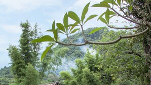 A rustic wooden house with a steeply pitched roof, surrounded by lush greenery and a clear sky. - Baan Kaew Mongkorn (Hang Dong)