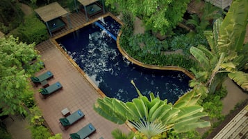 Outdoor pool, sun loungers