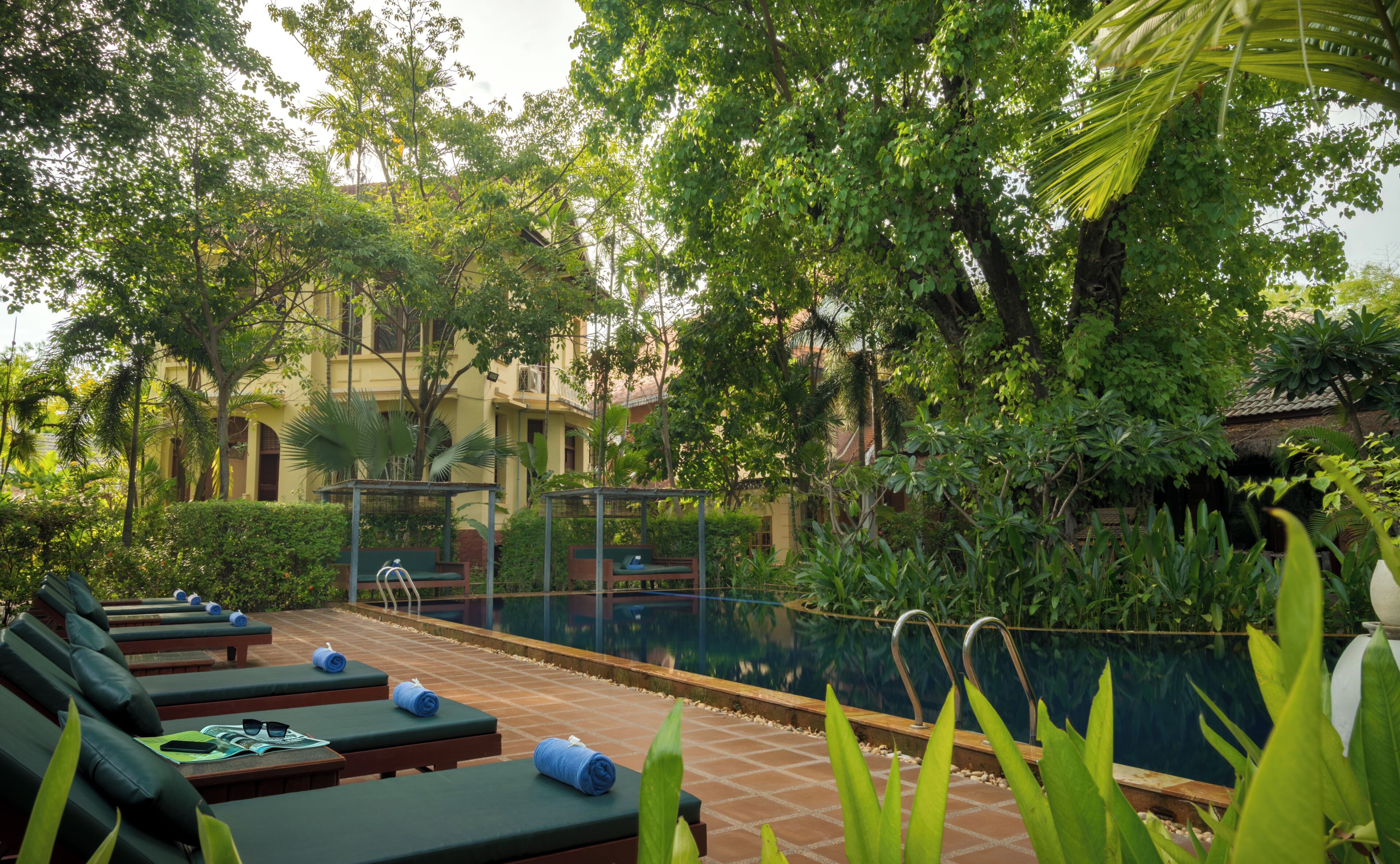 Outdoor pool, sun loungers