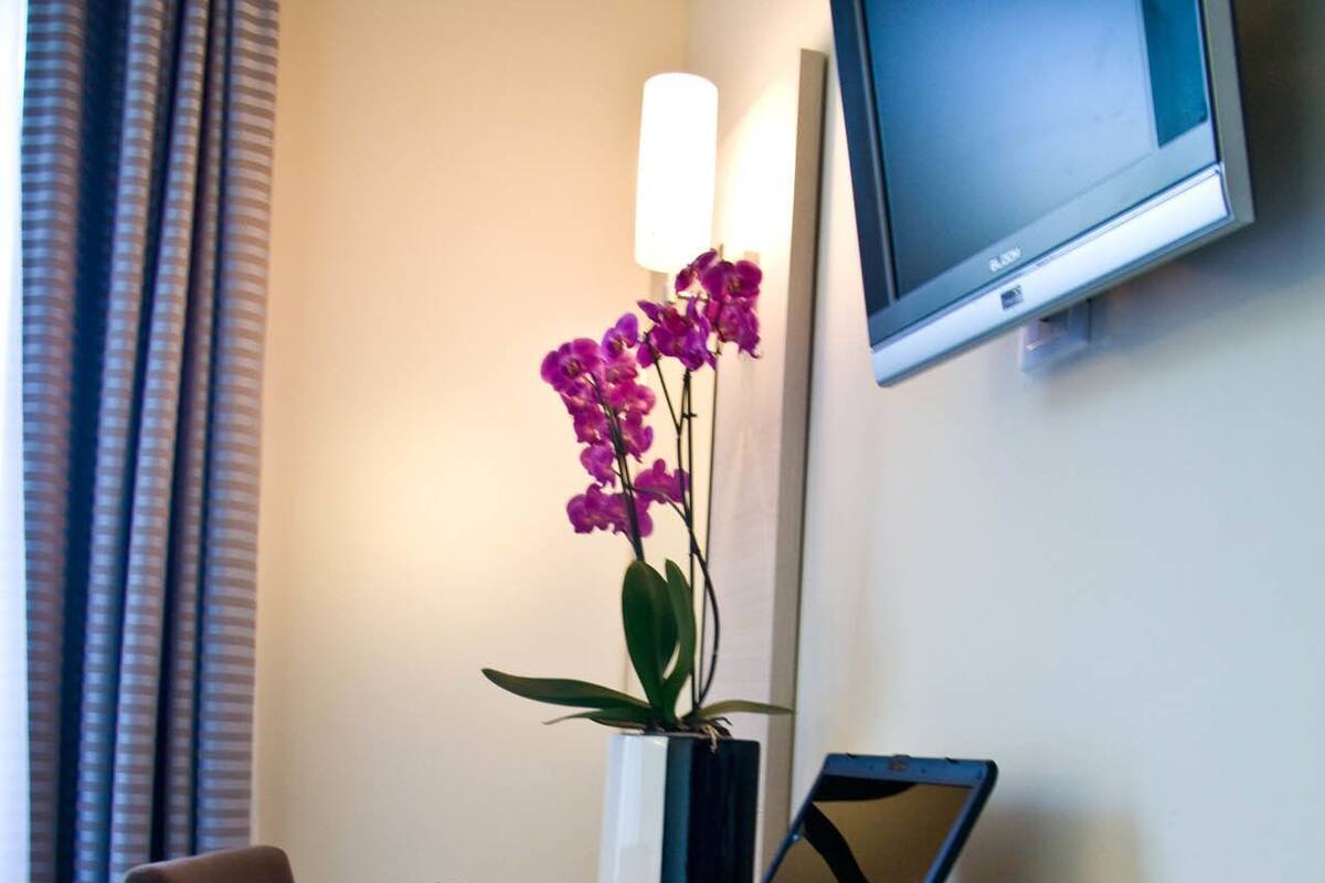 A hotel room with a desk, a laptop, a chair, a vase with flowers, a television, and a window with curtains.