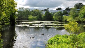 Danau
