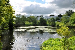Lake - Willow Court - Hostel (Stirling)