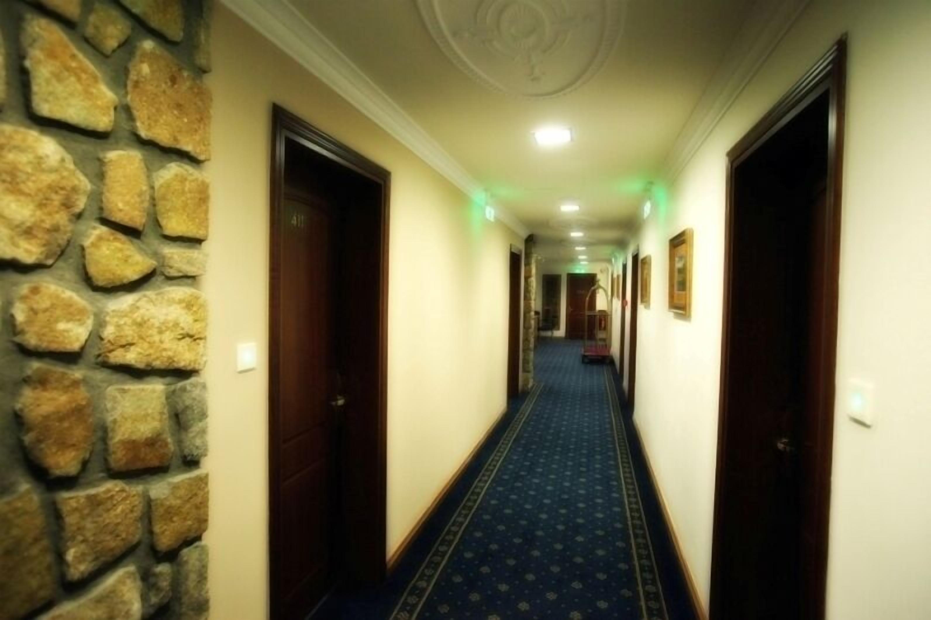 A hallway with stone walls, wooden doors, and a patterned carpet.