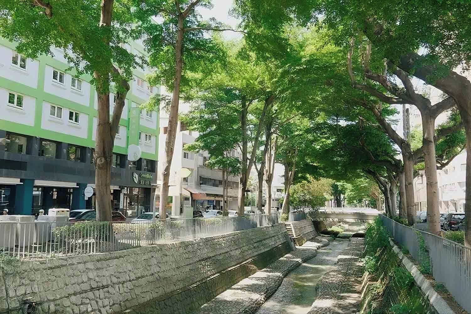 Una calle bordeada de árboles con escalones de piedra que conducen a una fuente de agua.
