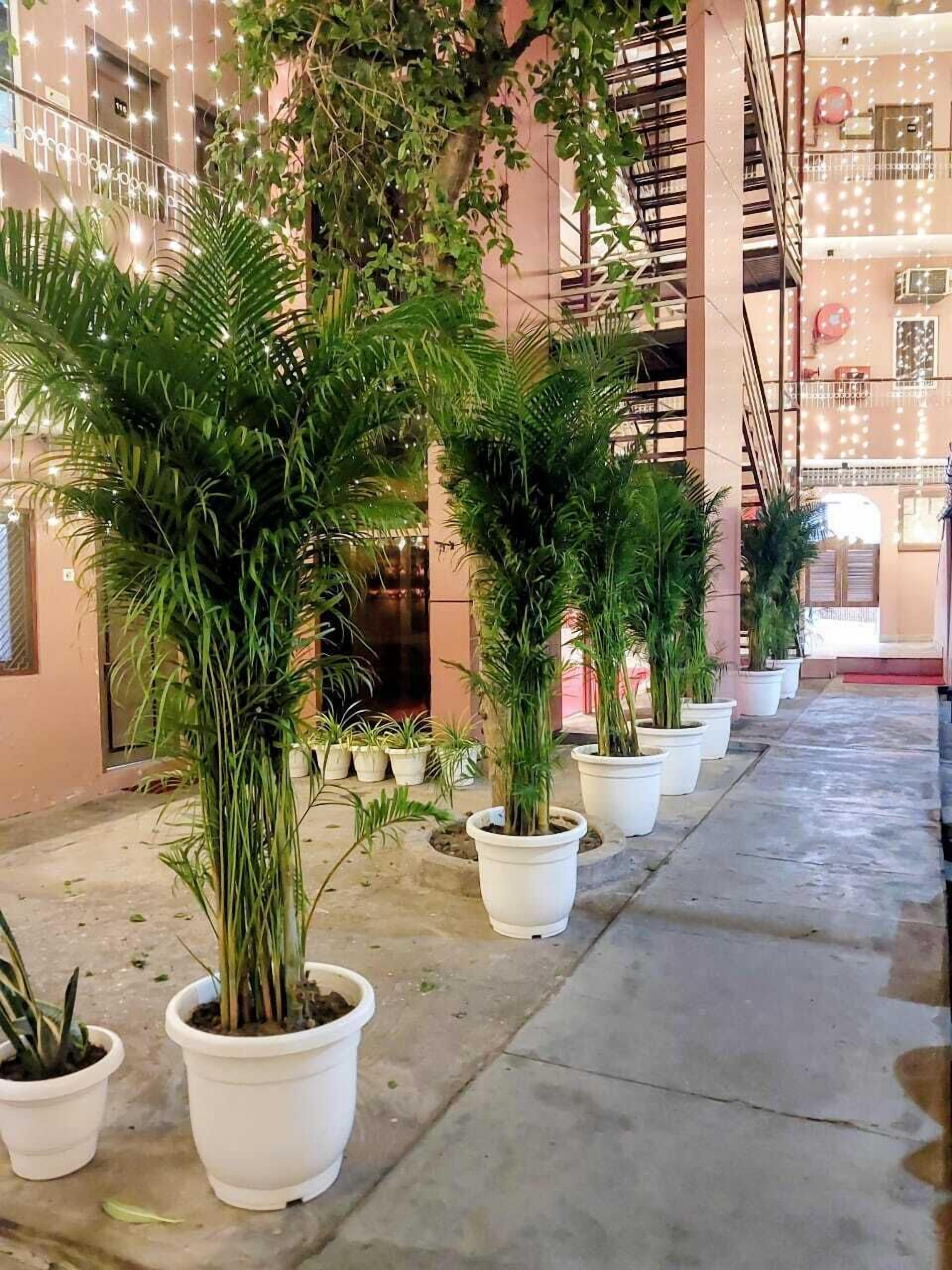 Petit déjeuner, déjeuner et dîner servis sur place, vue sur la plage