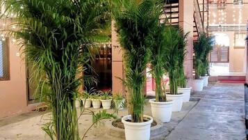 Petit déjeuner, déjeuner et dîner servis sur place, vue sur la plage