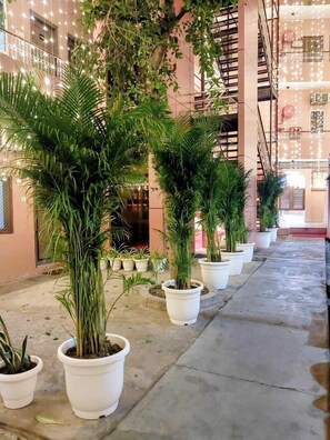 Frokost, lunsj og middag serveres, vegetarretter, utsikt mot stranden