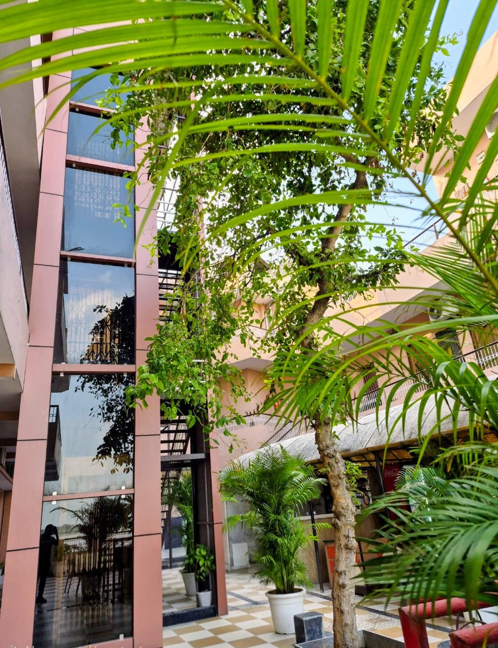 A modern building with a glass facade, a checkered floor, and potted plants.