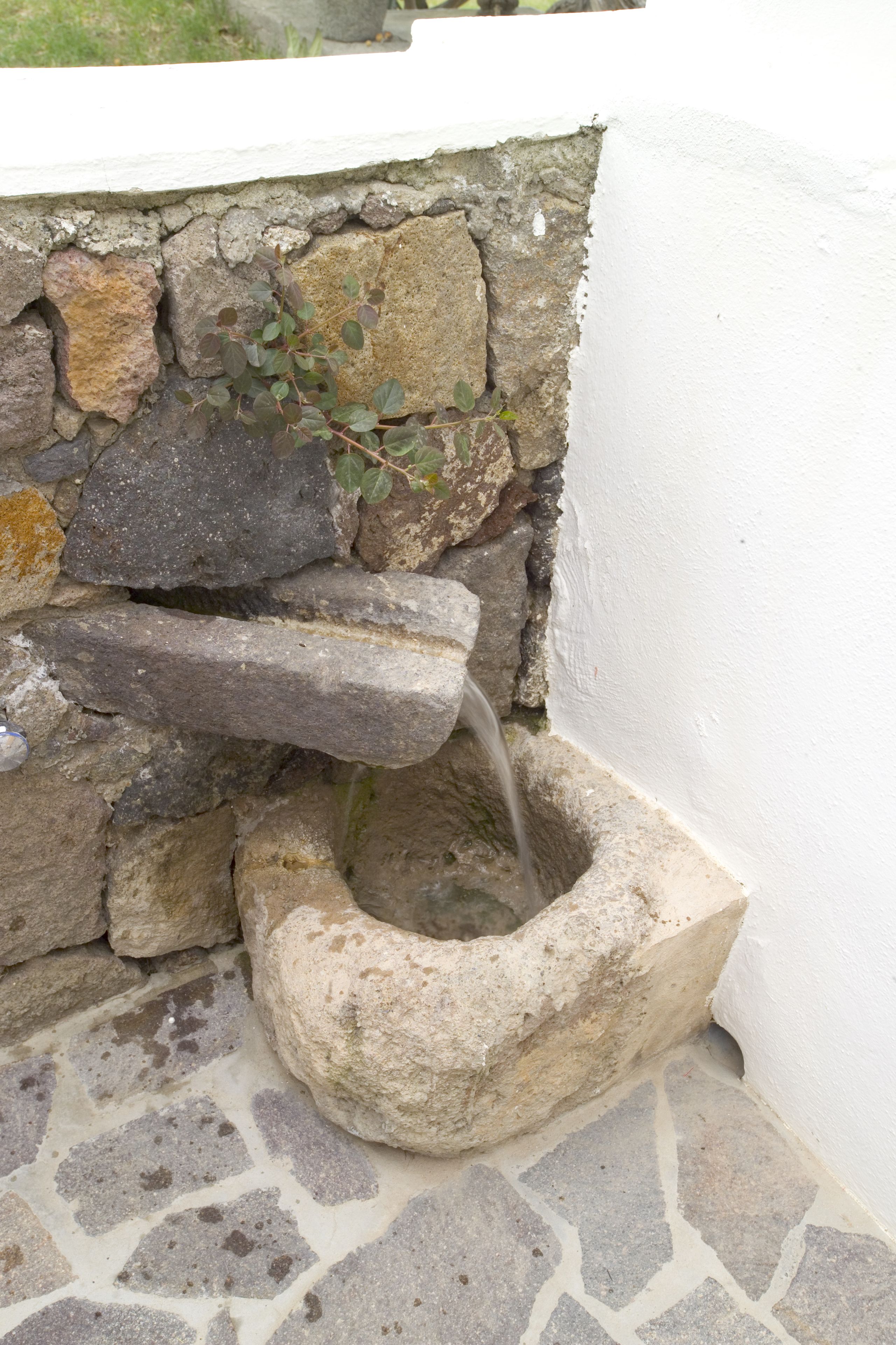 Una fuente de piedra con una planta creciendo encima, frente a una pared blanca y un suelo de piedra.