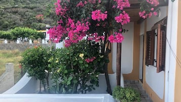外观细节