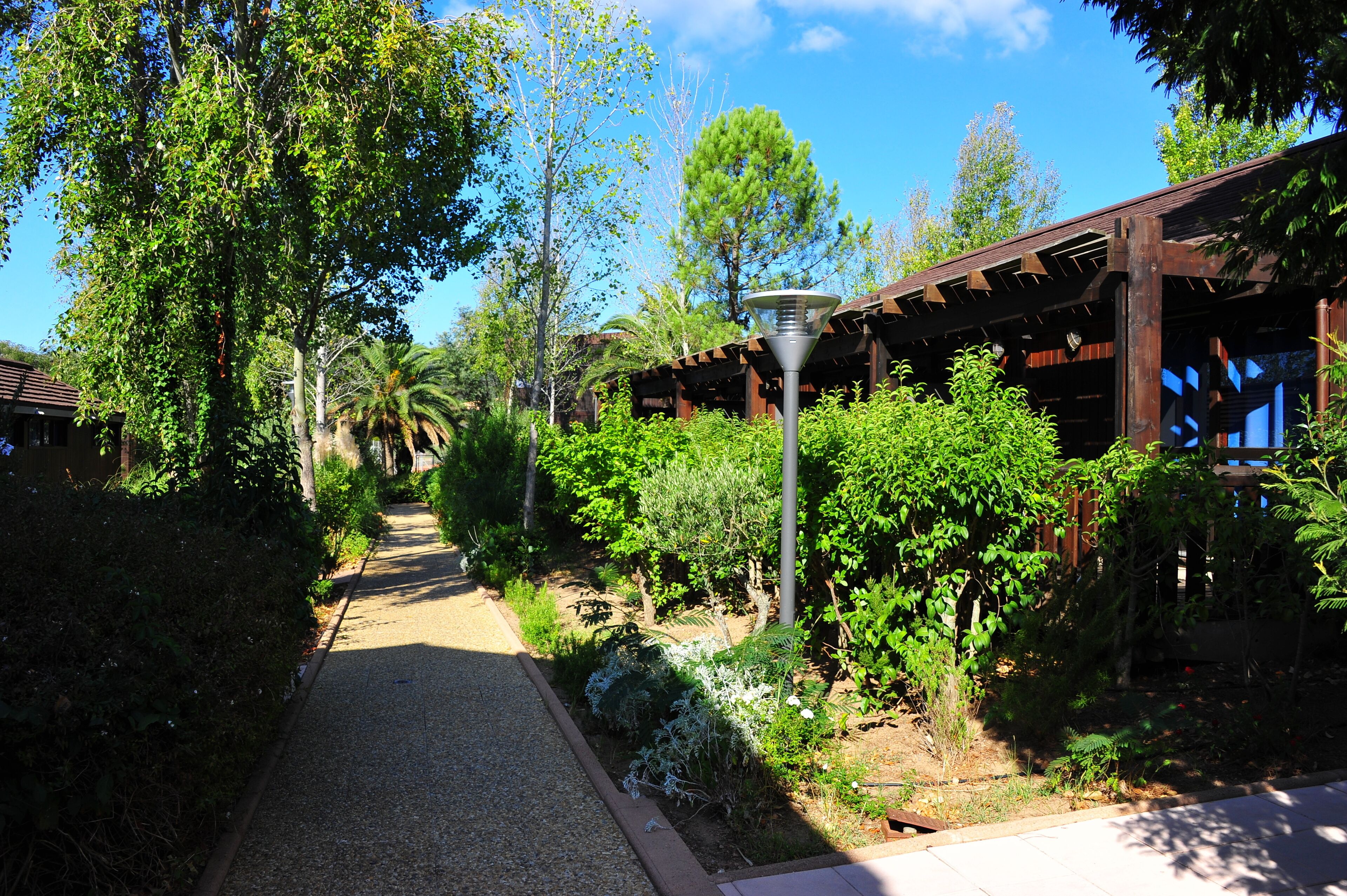 A pathway flanked by lush greenery and a wooden structure with a pergola.