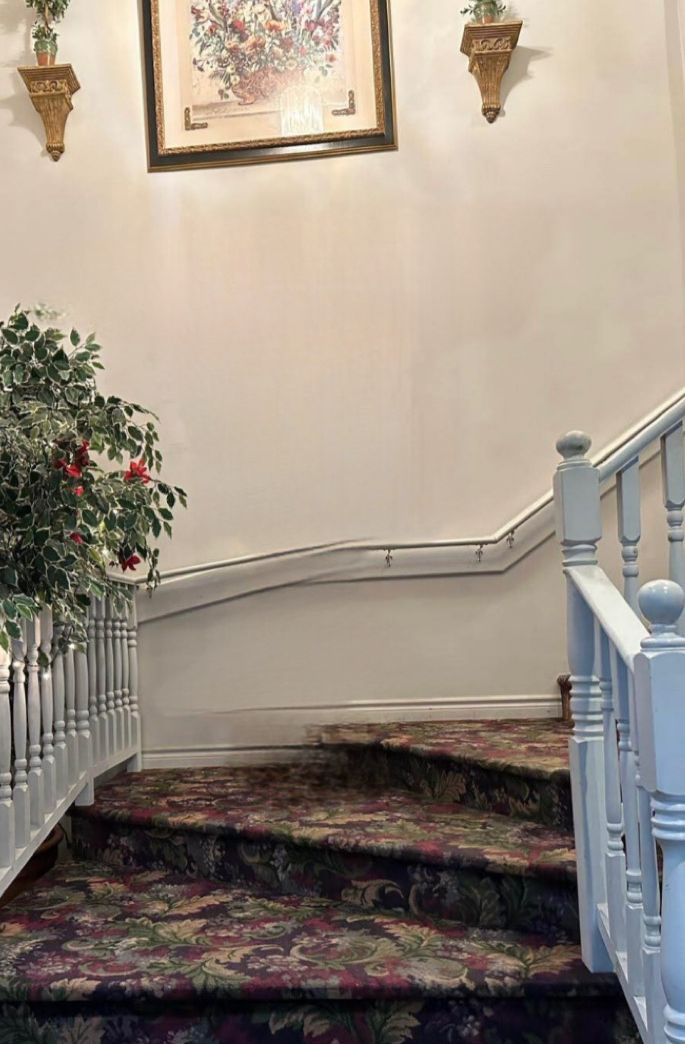 A staircase with a floral carpet, a potted plant, and a framed artwork on the wall.