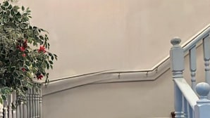 Un escalier recouvert d’une moquette à motifs floraux, un pot de fleurs et une œuvre d’art encadrée accrochée au mur.