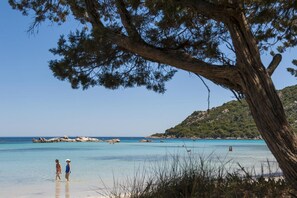 On the beach - Residence Moby Dick (Porto-Vecchio)