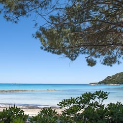 Am Strand