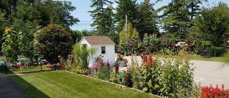 Una casa blanca pequeña rodeada de un jardín bien cuidado con diversas plantas y flores.