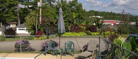 A pool area with a diving board, lounge chairs, and a covered umbrella.