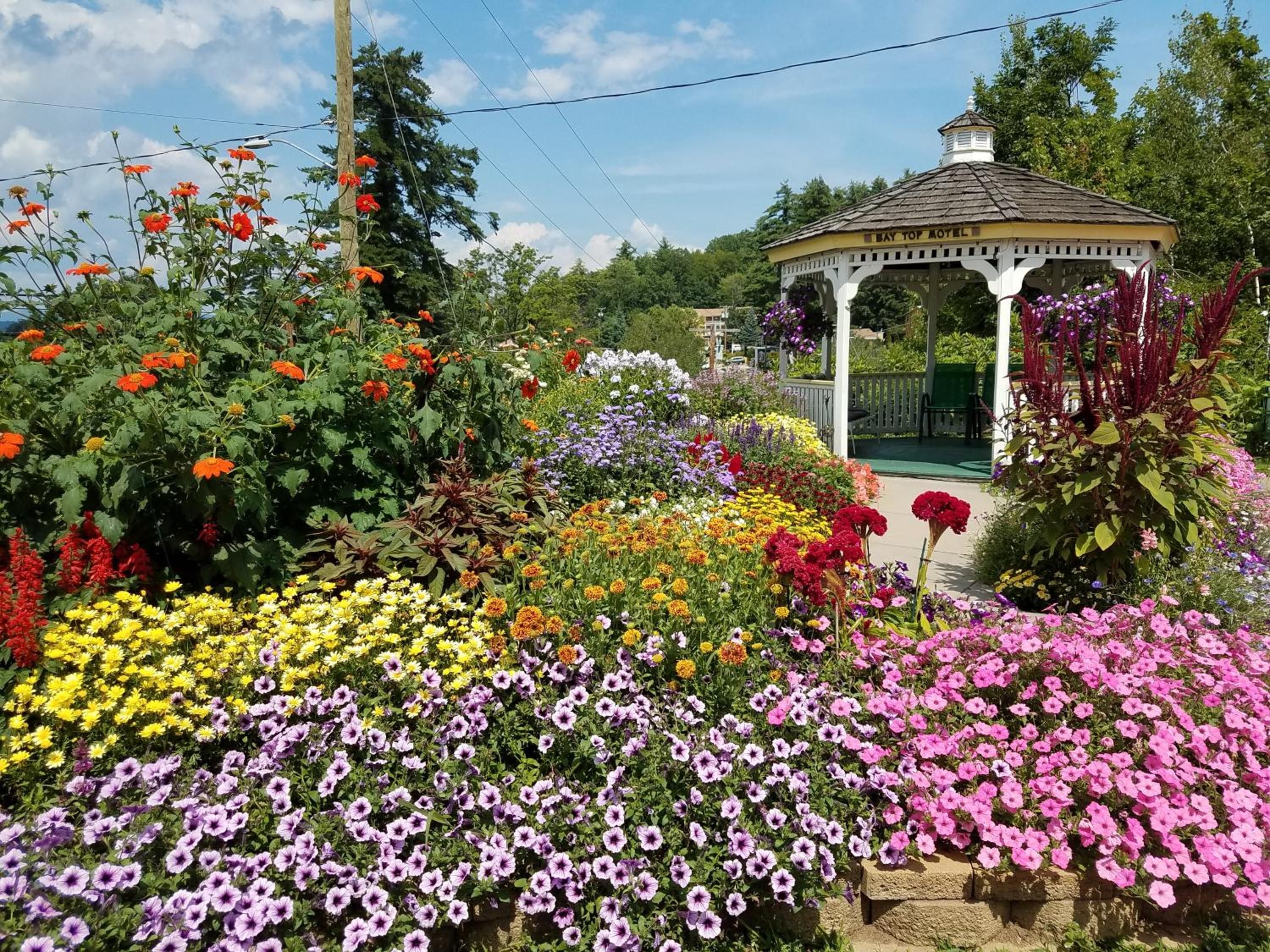 A garden with a gazebo, various flowers, and a clear sky.
