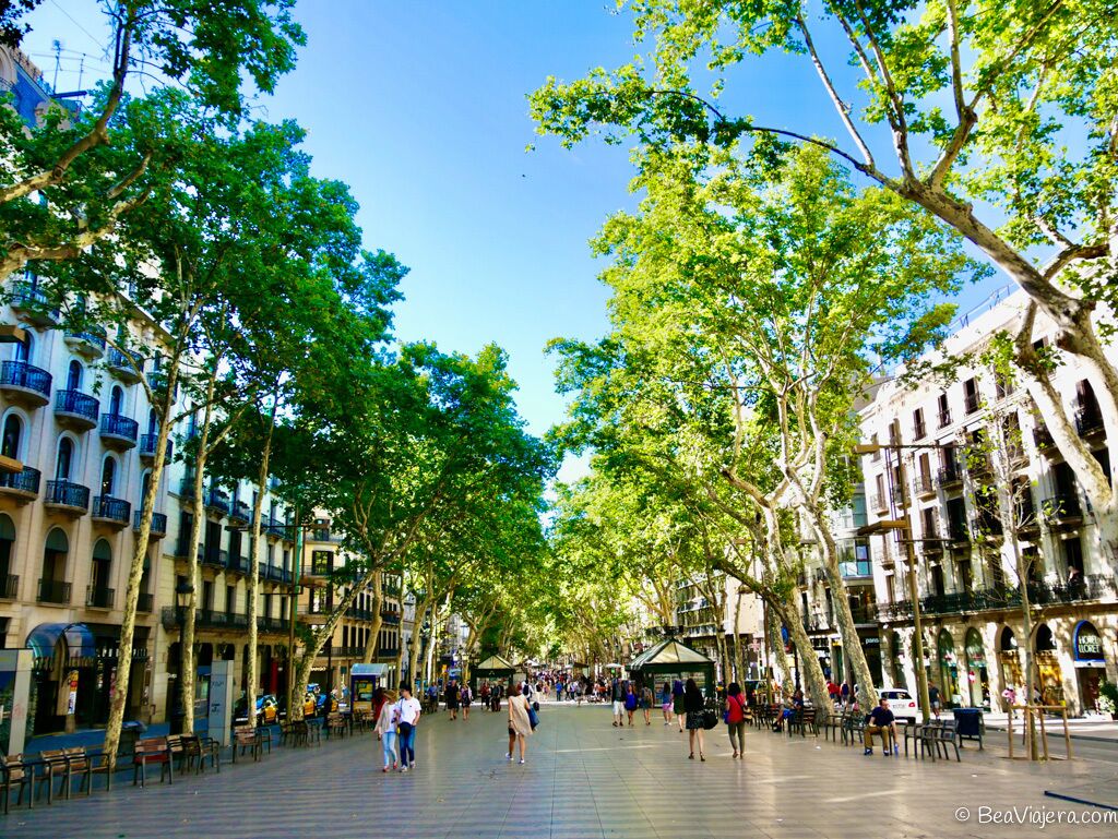 A tree-lined pedestrian street with buildings on either side, outdoor seating areas, and a clear sky.