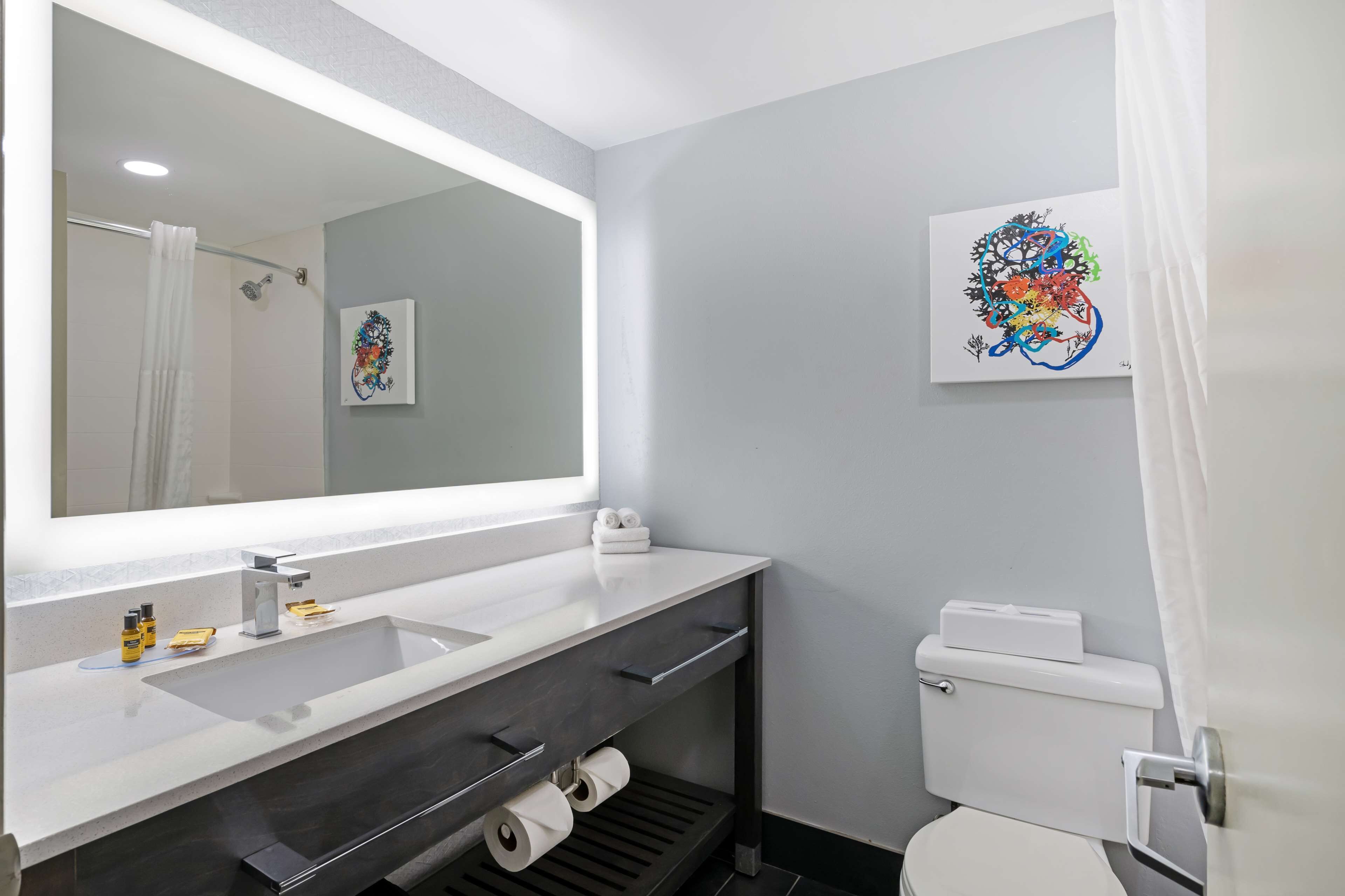 Une salle de bain moderne avec un grand miroir, un lavabo et des toilettes.