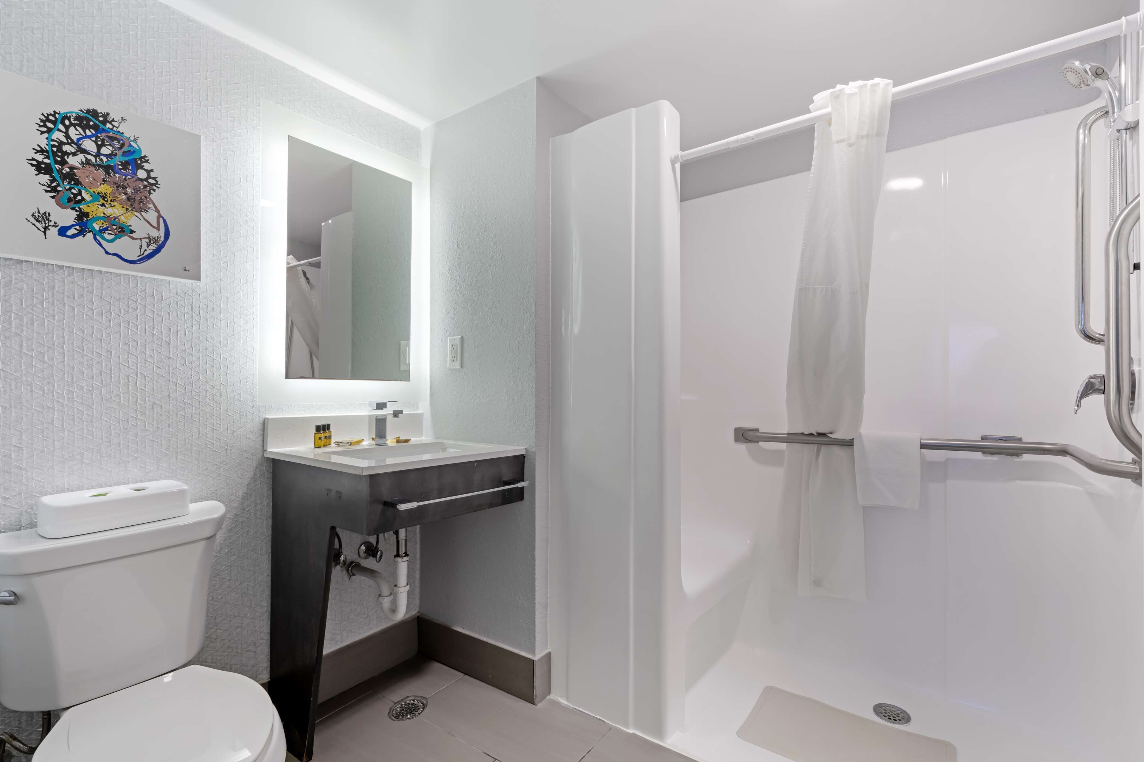 Suite, 1 cama King size, con acceso para personas discapacitadas, para no fumadores | Baño | Tina con regadera, amenidades de baño ecológicas, secadora de cabello 