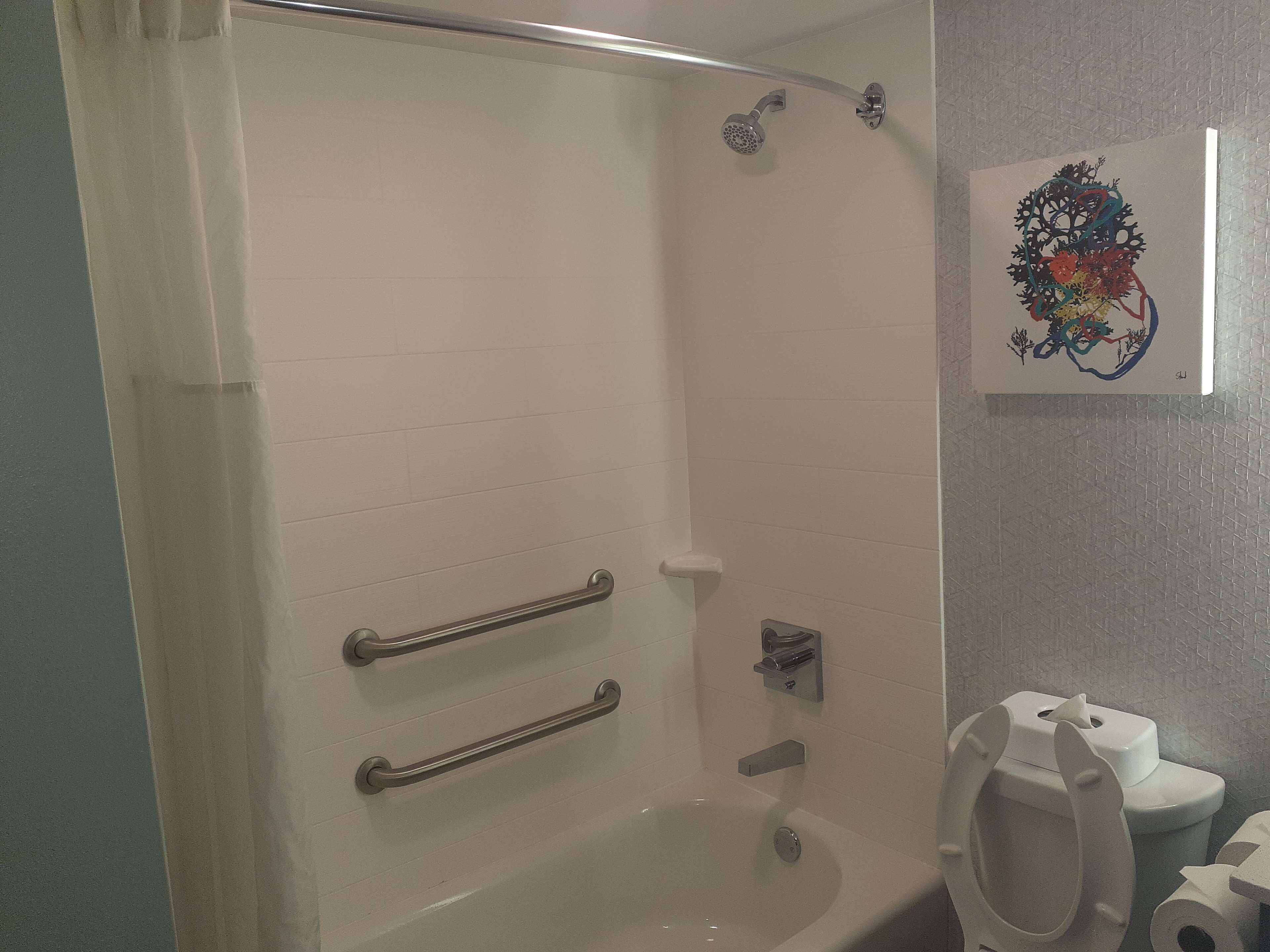 Standaard kamer, 1 kingsize bed, toegankelijk voor mindervaliden, bad | Badkamer | Een bad/douchecombinatie,  milieuvriendelijk toiletgerief
