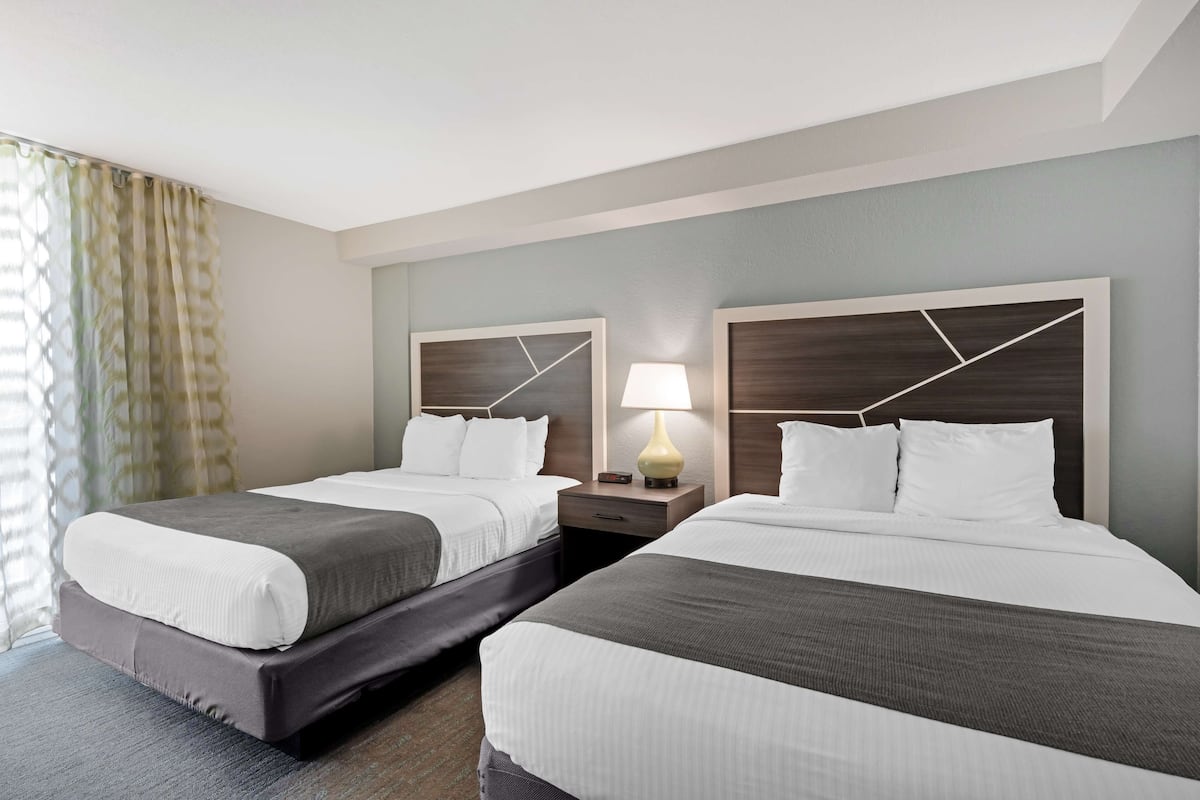 Two single beds with dark headboards and white bedding, a bedside table and lamp, and a window with curtains.