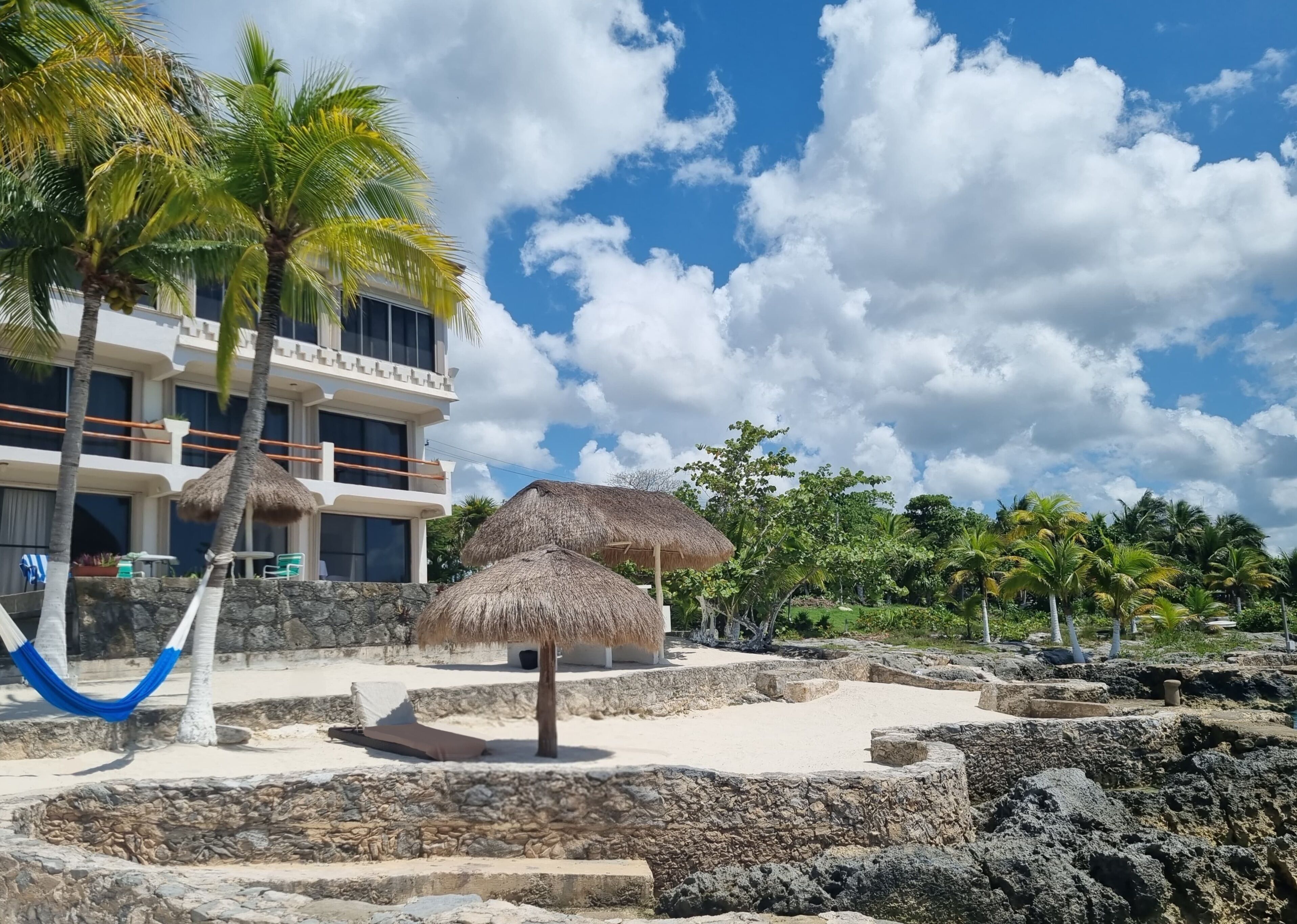 A beachfront property with a thatched-roof structure, palm trees, and a stone wall.