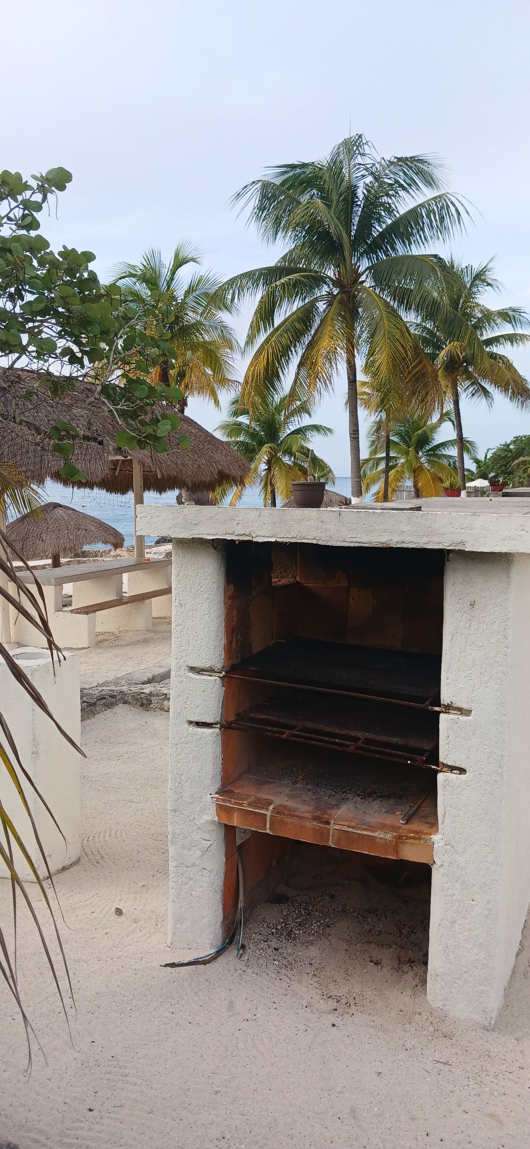 Une structure en béton surmontée d’une grille métallique, entourée de sable et de palmiers, avec un toit de chaume en arrière-plan.