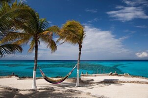 Vista desde la propiedad