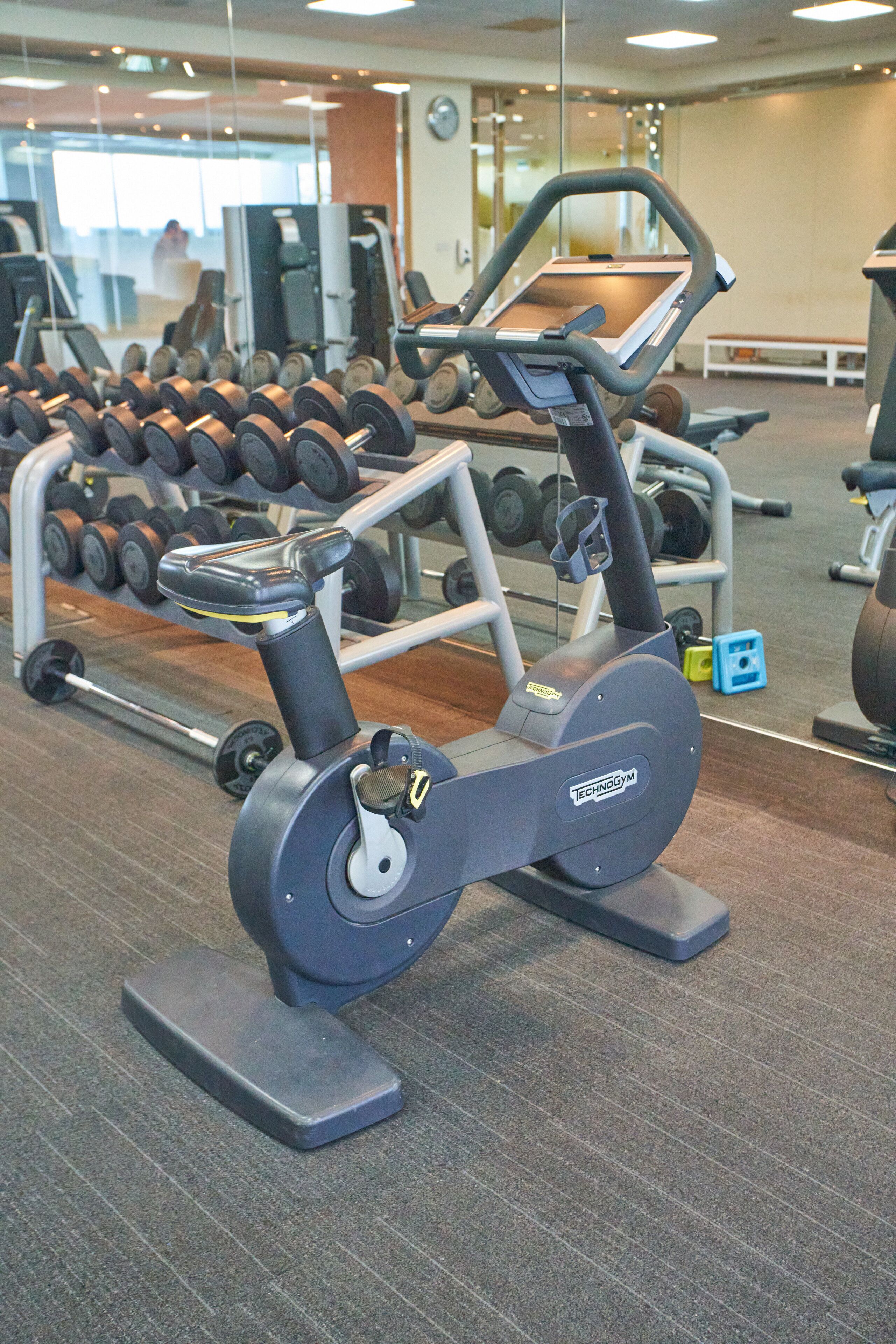 A gym with cardio equipment, dumbbells, and a bench.