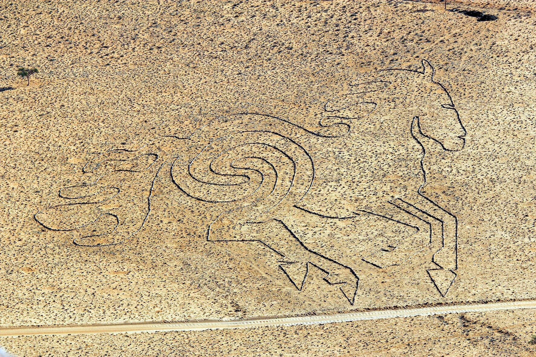 A rock surface with ancient petroglyphs depicting a human figure and a horse.