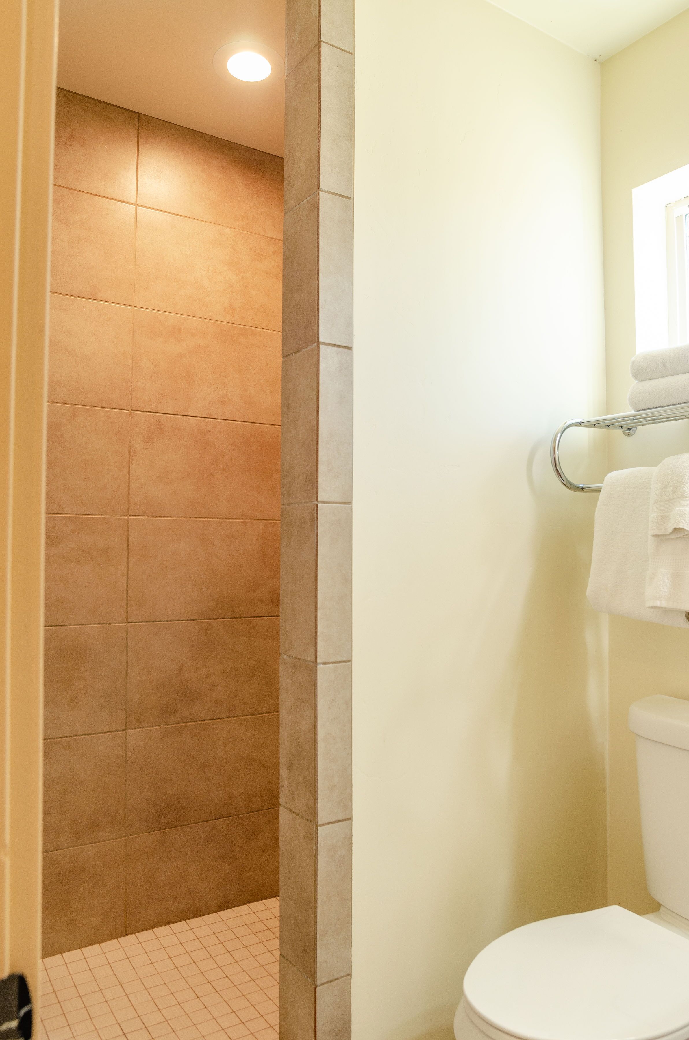 A bathroom with a shower area and a toilet.