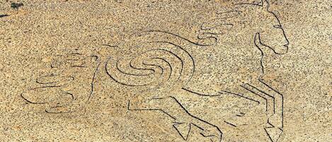 A rock surface with ancient petroglyphs depicting a human figure and a horse.