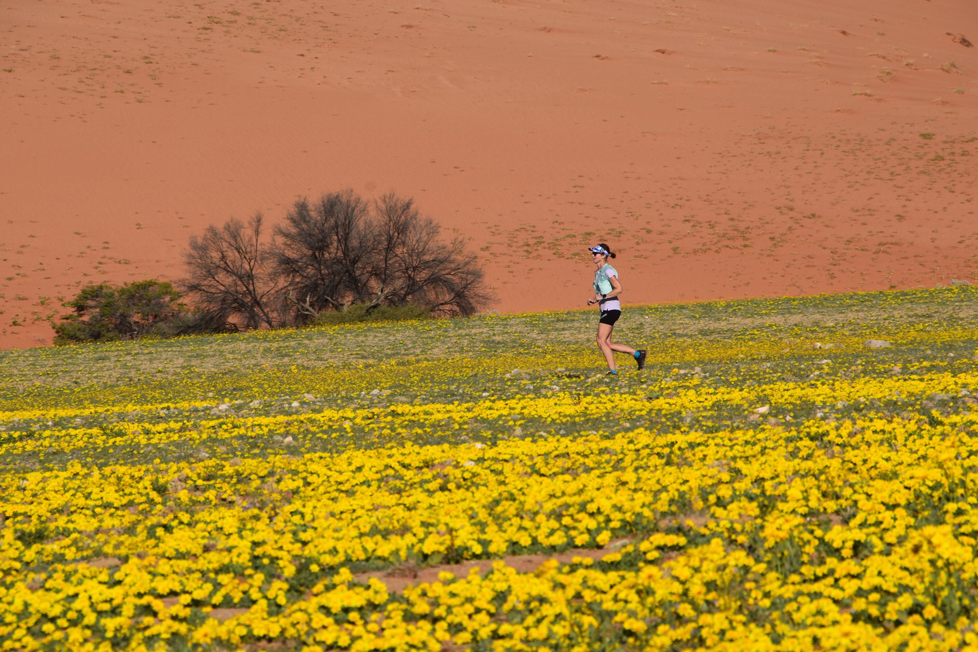 A person running through a field of yellow flowers with a barren landscape in the background.