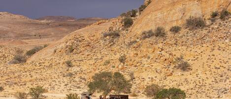 Eenvoudige tent (Desert Horse Campsite) | Safari