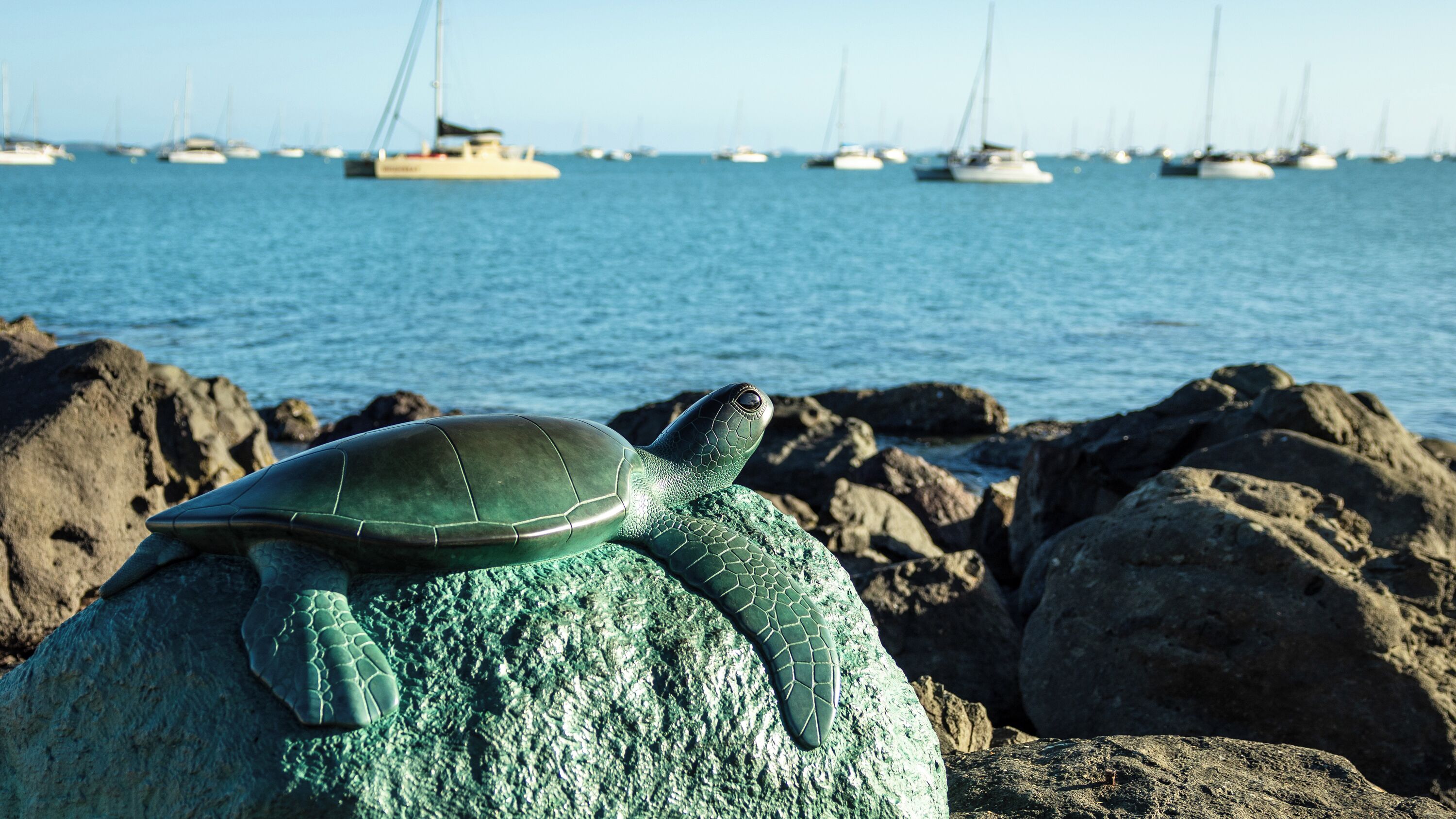 Una tortuga sobre una roca con vista al mar y barcos al fondo.