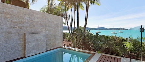 A swimming pool with a stone wall, wooden deck, and tropical plants.