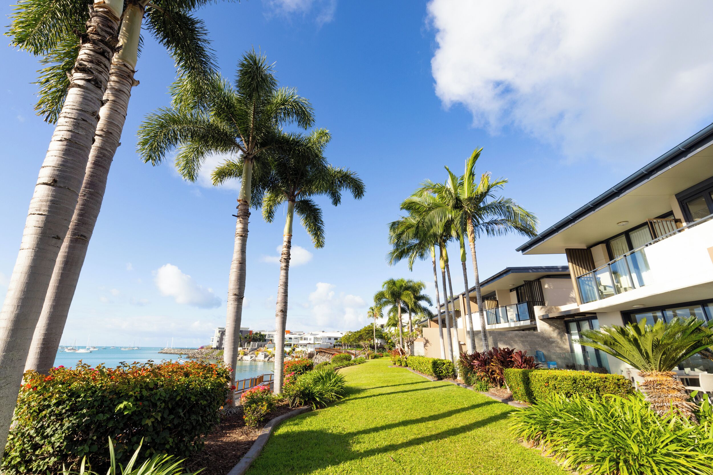 A modern hotel with a well-maintained lawn, palm trees, and a view of the ocean.