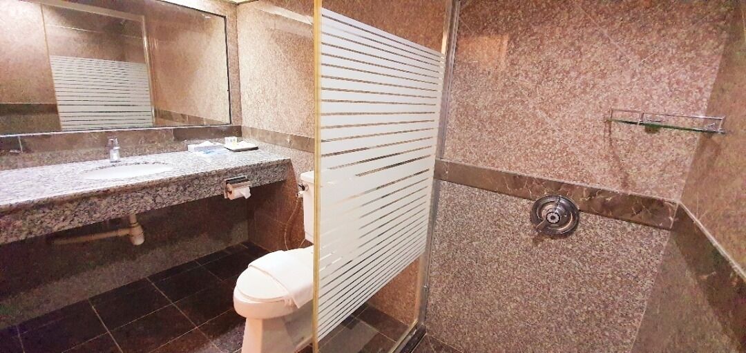 Een badkamer met een granieten aanrechtblad, een toilet, een douche met glazen deur en een spiegel.